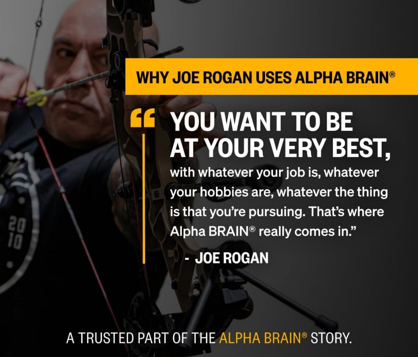 ALPHA BRAIN®