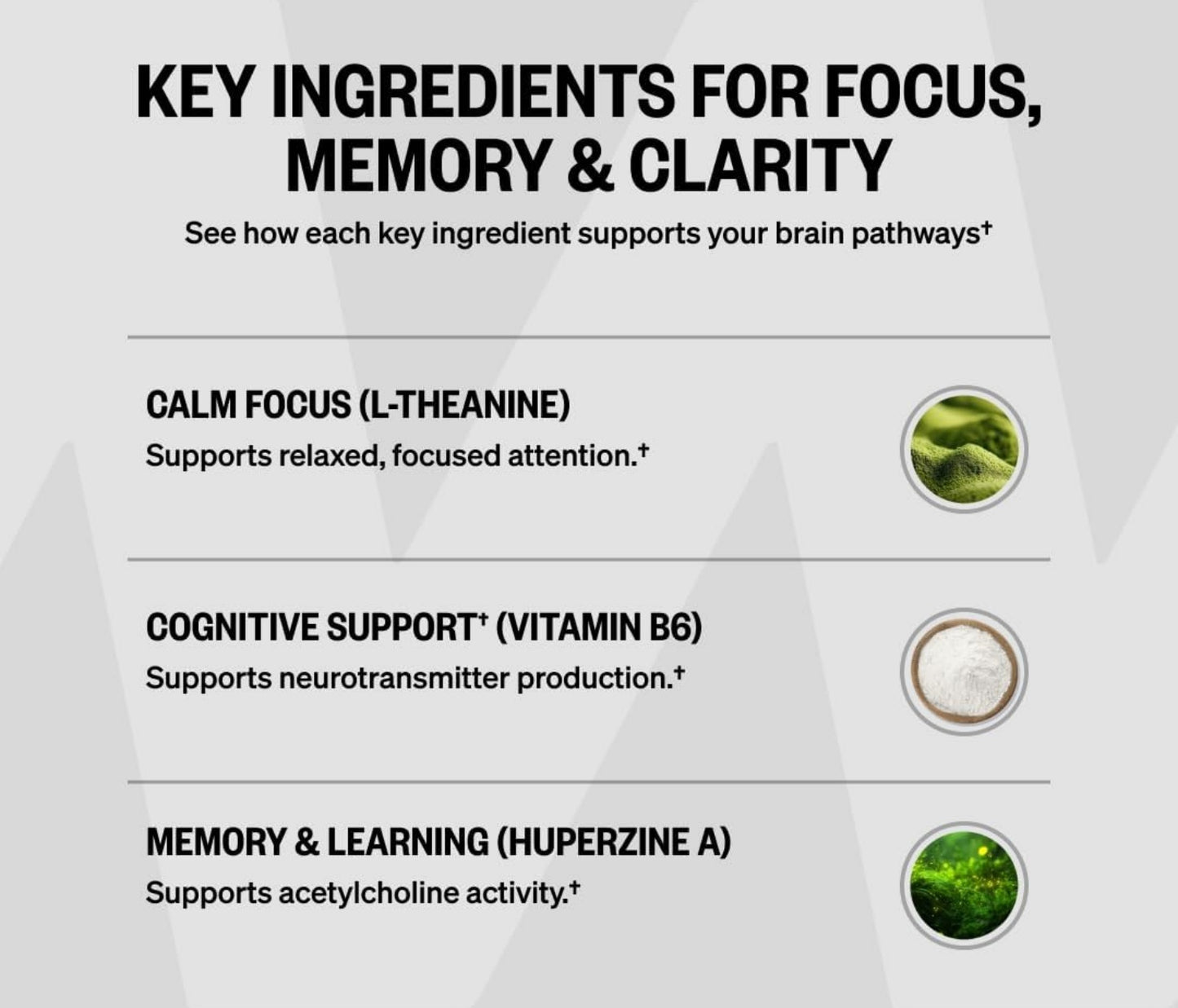 ALPHA BRAIN®
